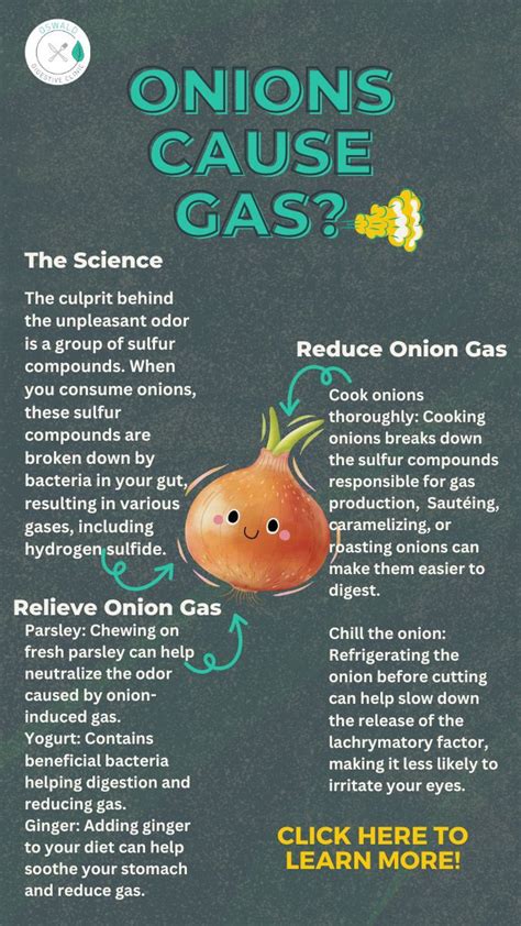 do roasted onions cause gas